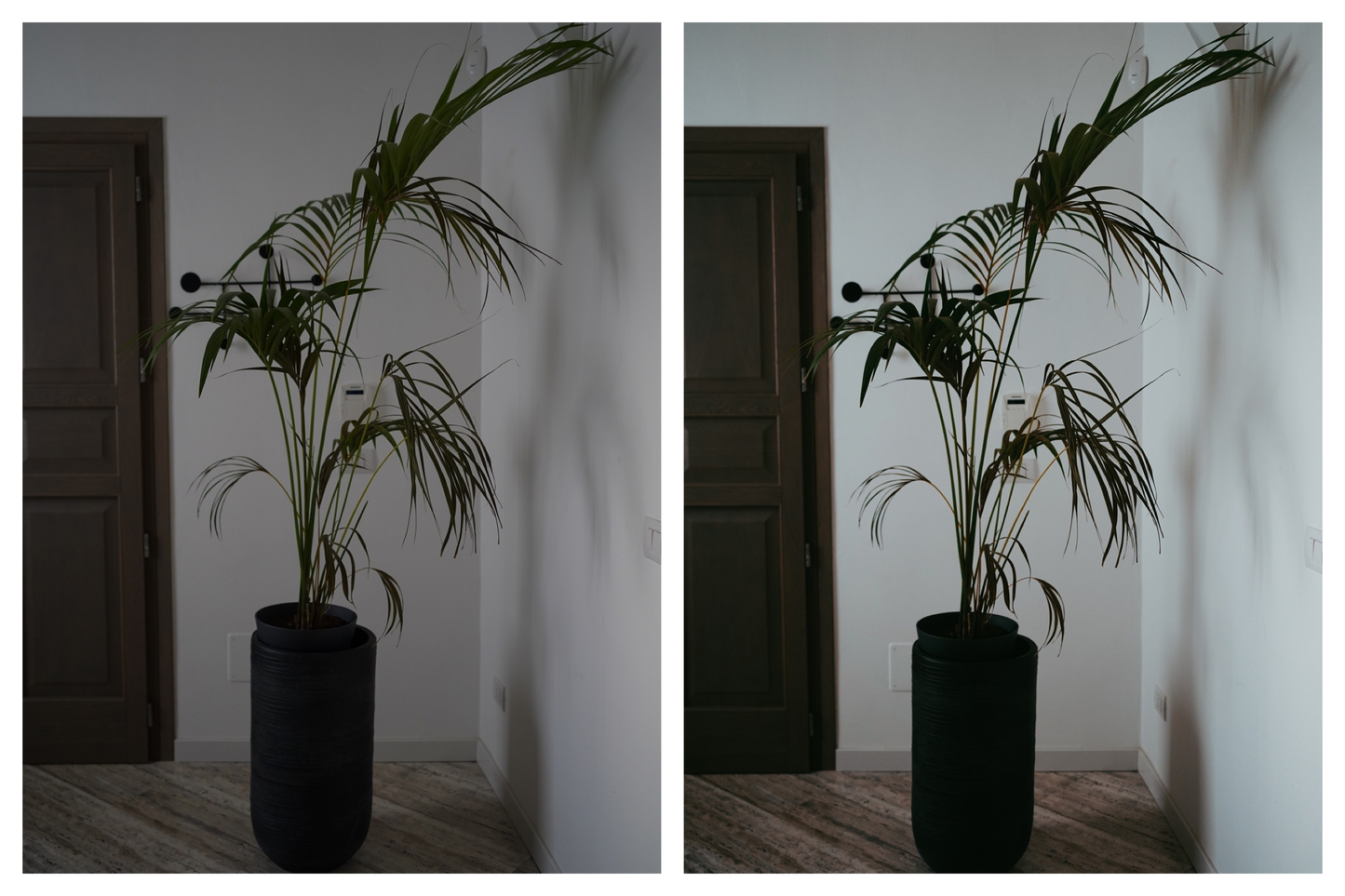 Conscious Travel Preset